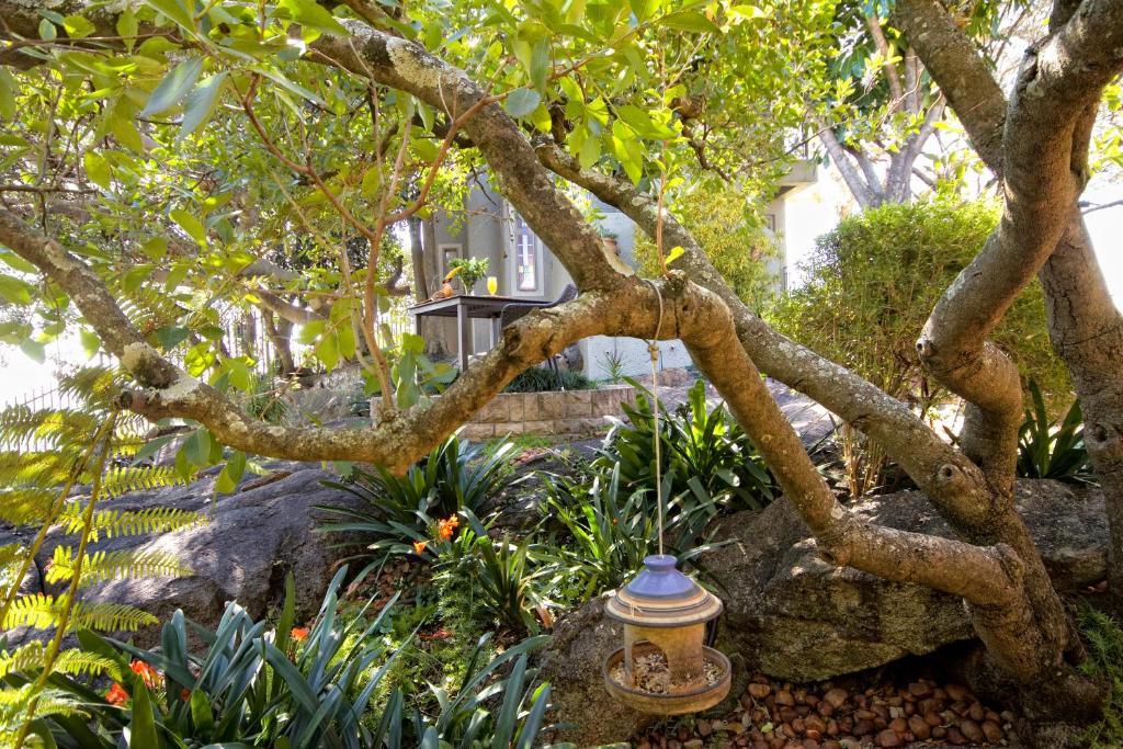 Loerie'S Call Guesthouse Mbombela Bagian luar foto